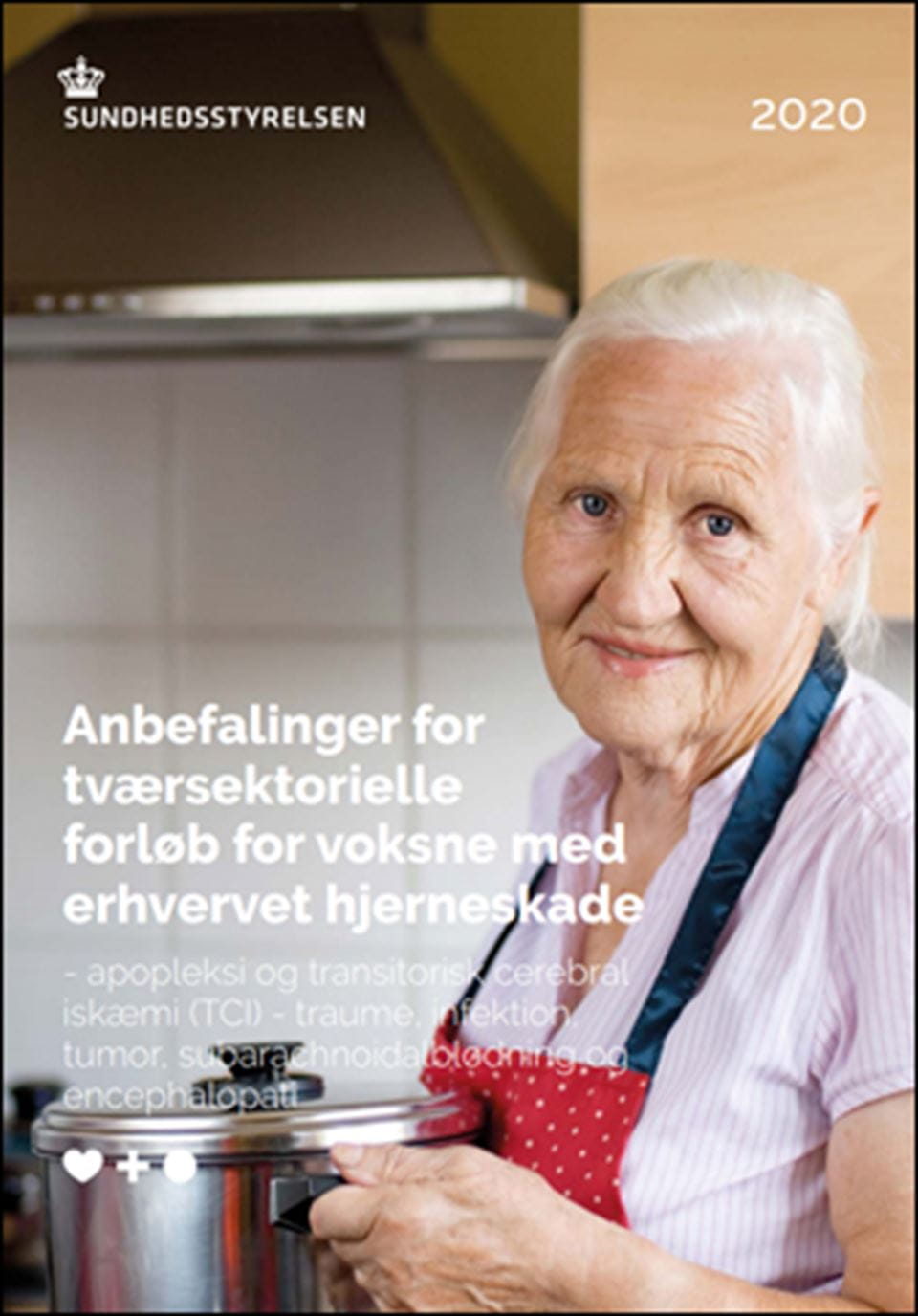 Anbefalinger for tværsektorielle forløb for voksne med erhvervet hjerneskade
