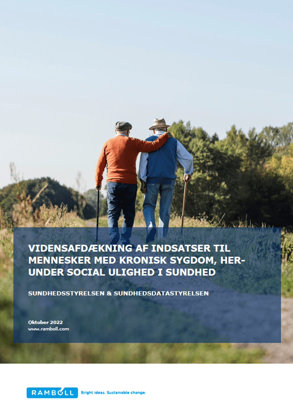Vidensafdækningen af indsatser til mennesker med kronisk sygdom, herunder social ulighed i sundhed