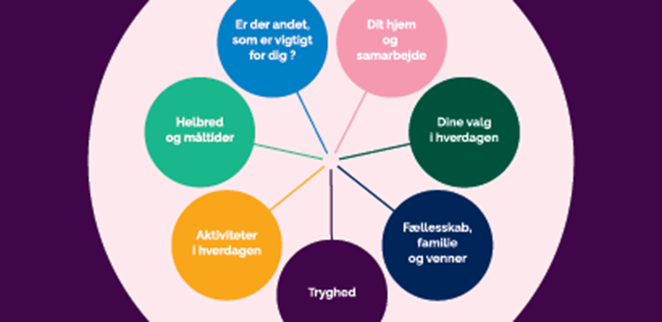 Vaerdighedshjulet_410x200