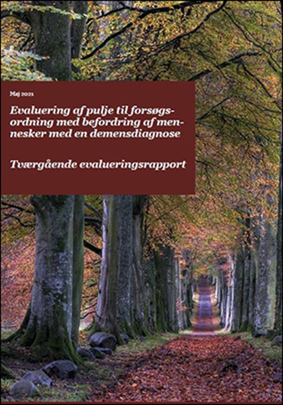 Hent rapporten