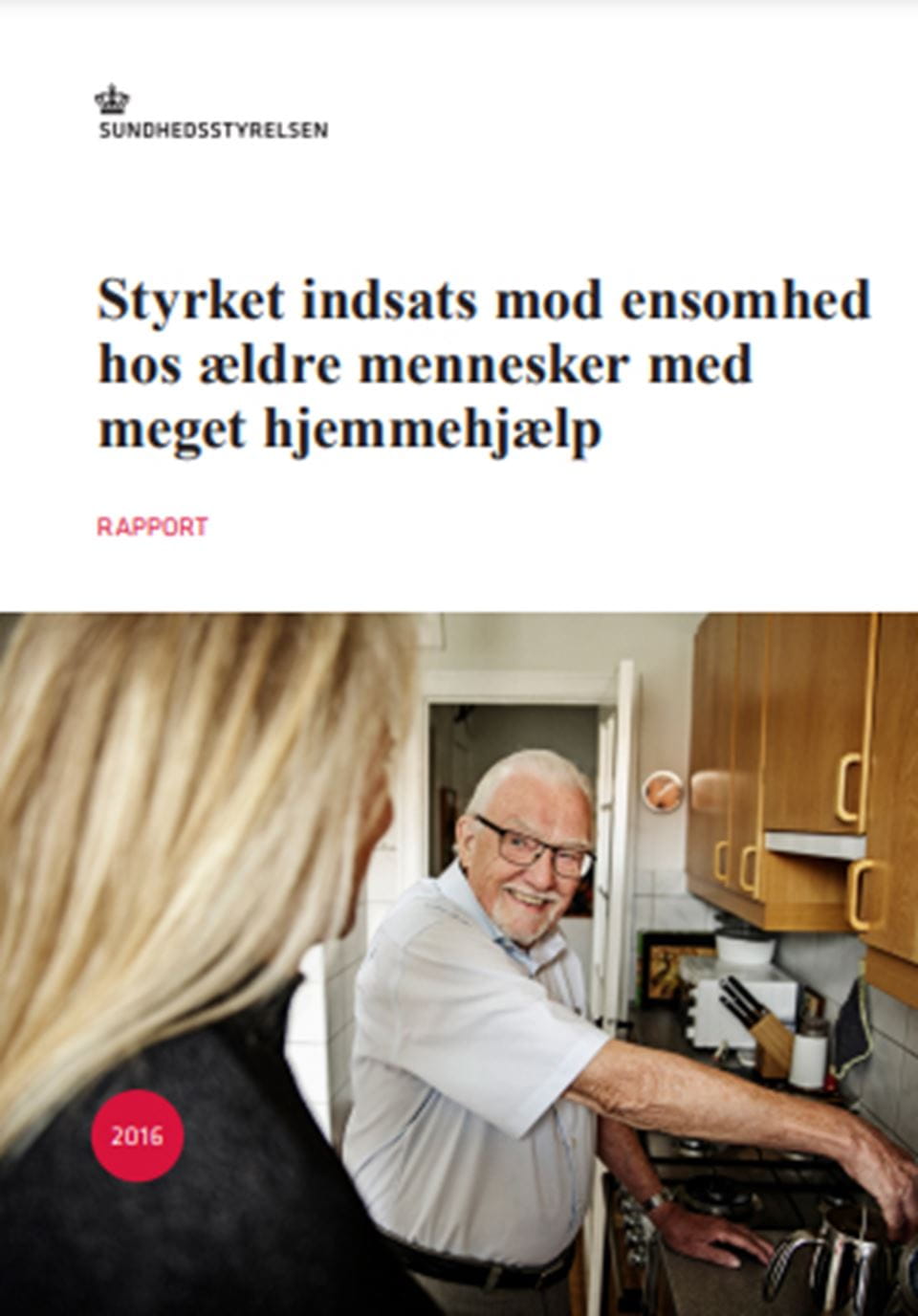 Hent rapporten